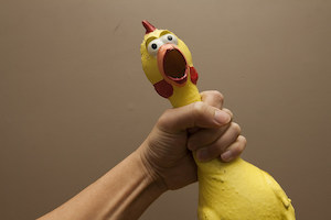lighter skinned hand clutching a rubber chicken with wide eyes and an open mouth. image by Whampoa Sports Club from Flickr